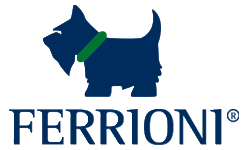 Ferrioni